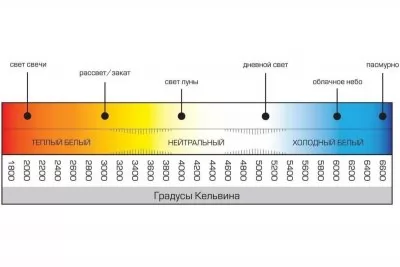 Картина продукта