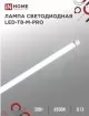Икона