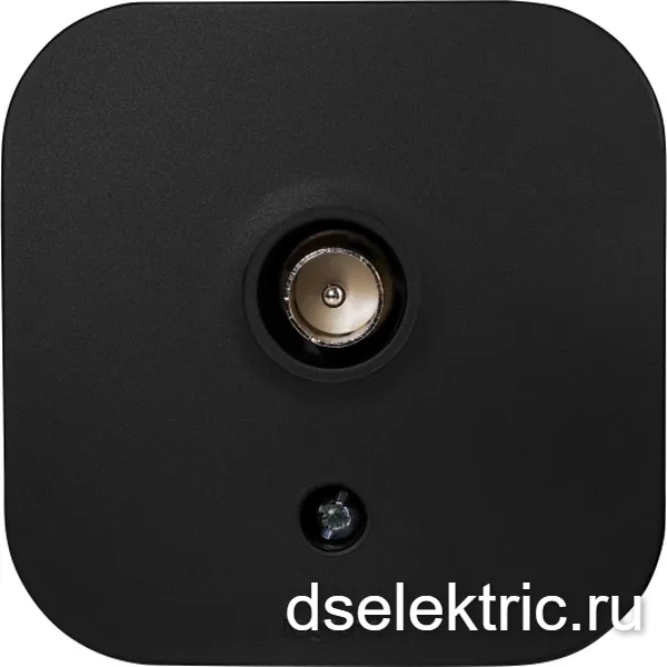 Картина продукта