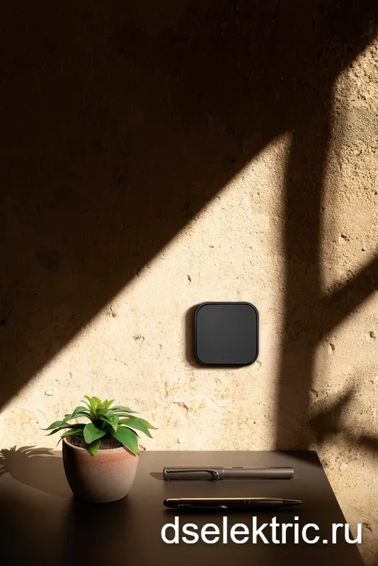 Картина продукта