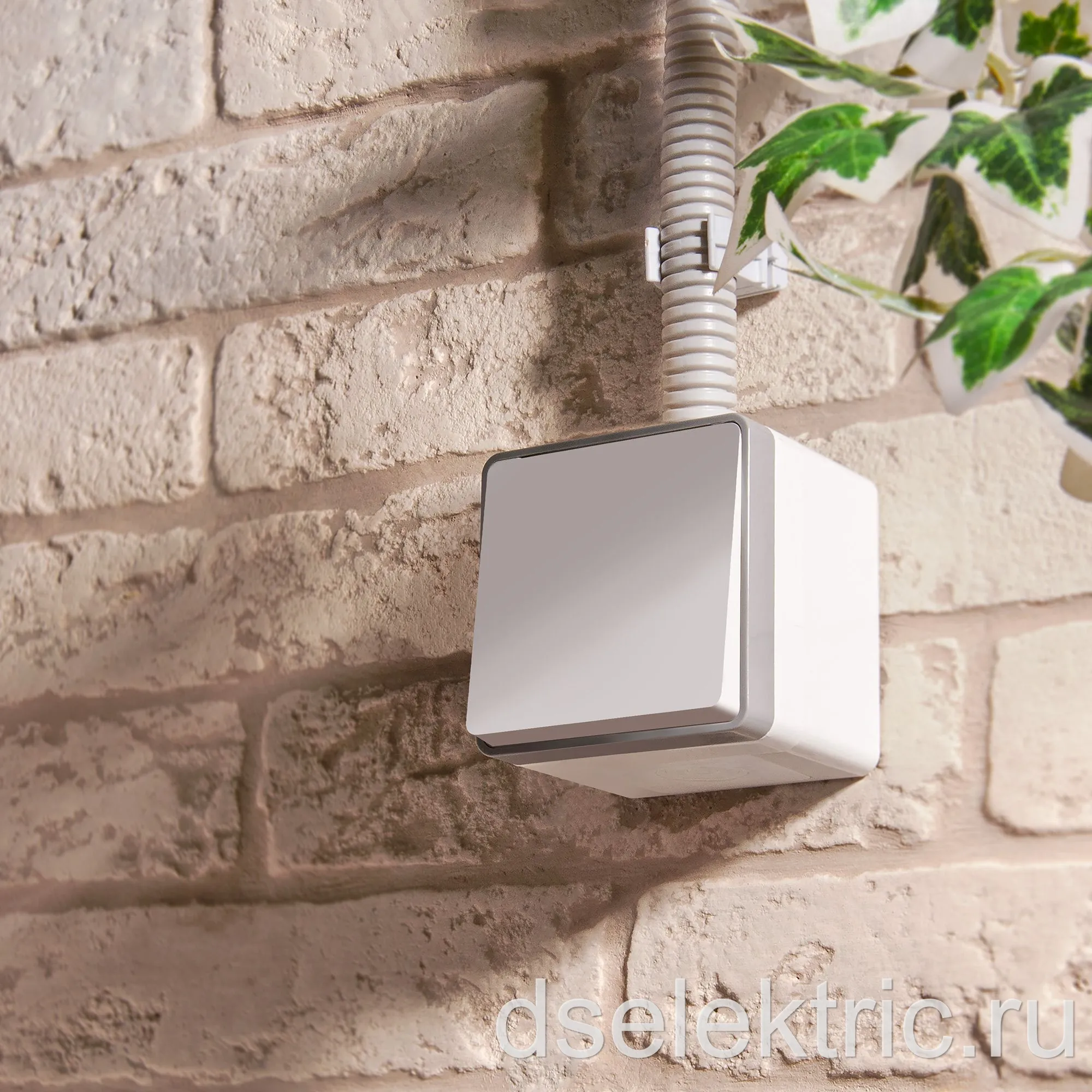 Картина продукта